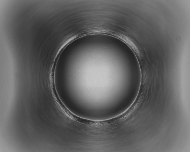 X0000116320806200912091018