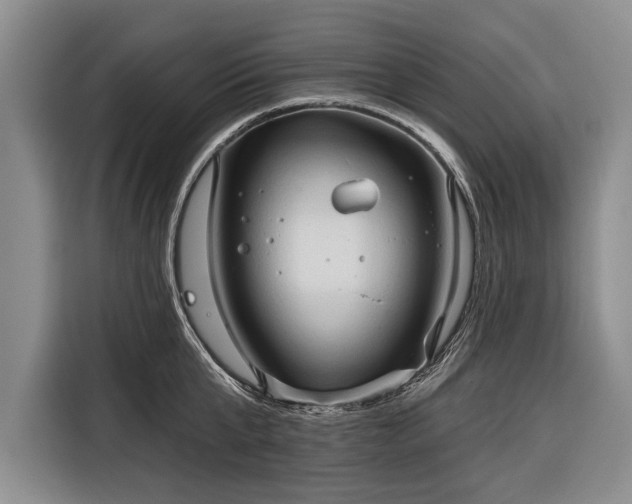 X0000116320807200912091018