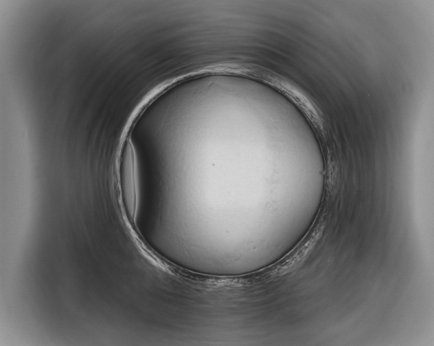 X0000116320808200912091018