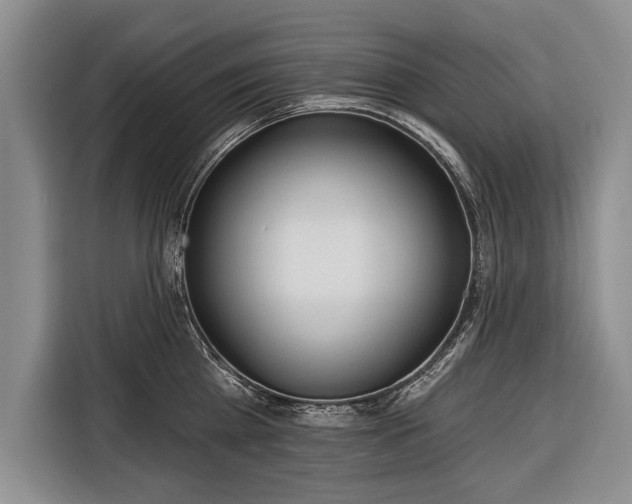 X0000116320809200912091018