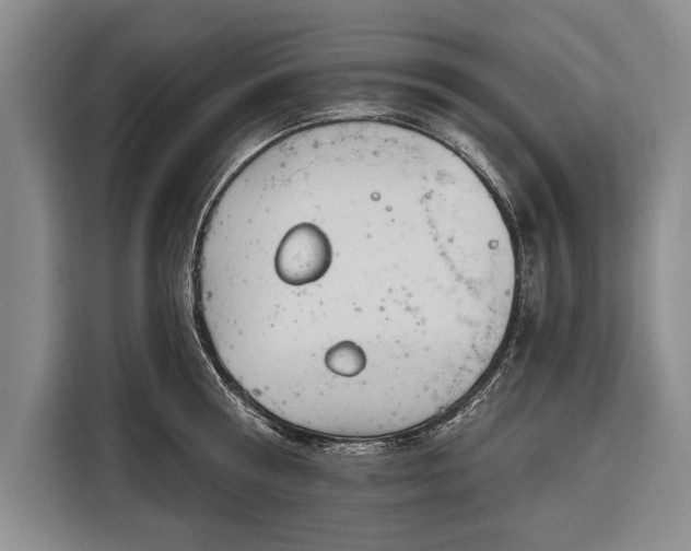 X0000116320810200912091018