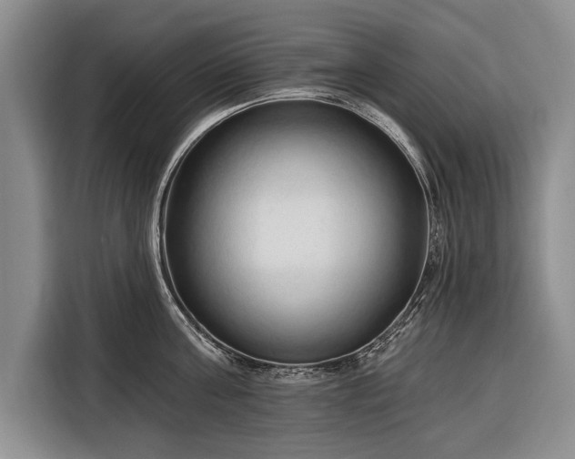 X0000116320811200912091018