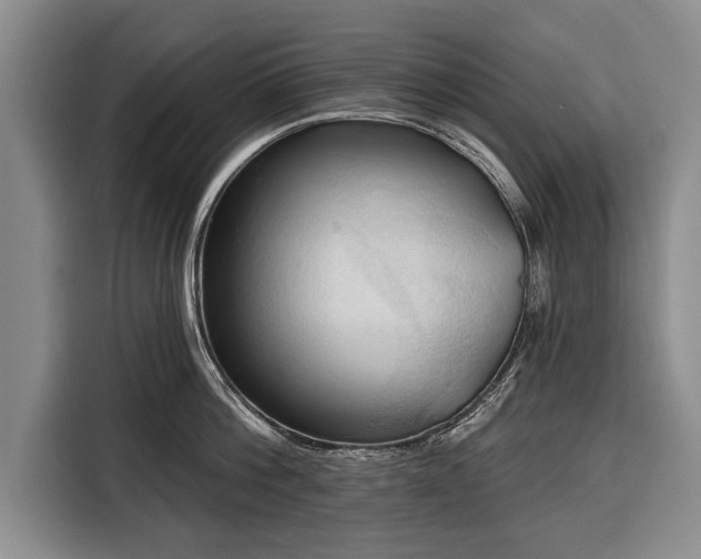 X0000116320812200912091018