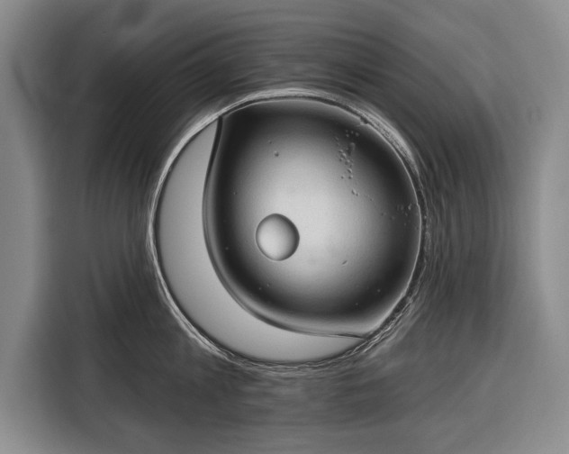 X0000116320813200912091018