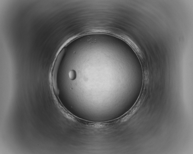 X0000116320814200912091018