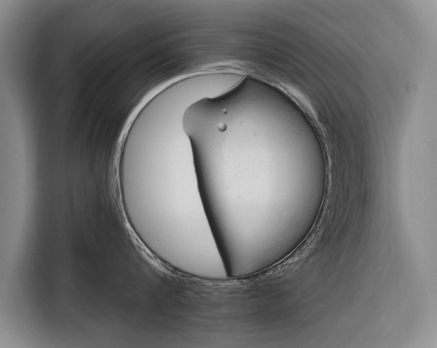 X0000116320816200912091018