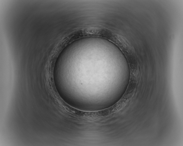 X0000116320817200912091017