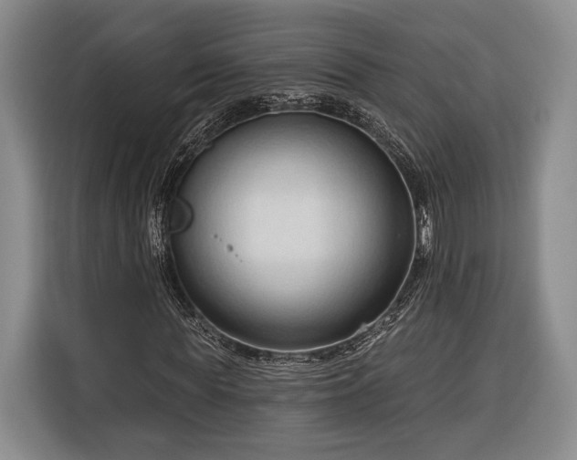 X0000116320819200912091017