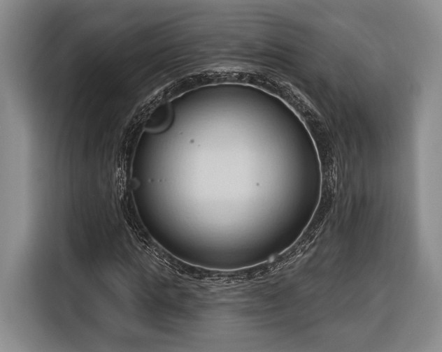 X0000116320821200912091017