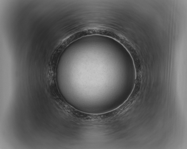 X0000116320822200912091017