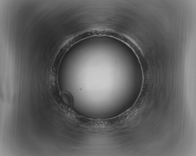 X0000116320823200912091017