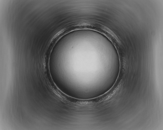 X0000116320826200912091017