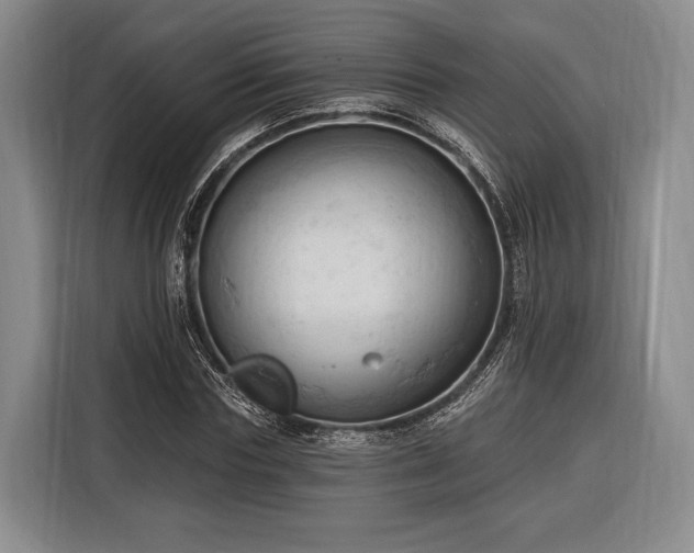 X0000116320827200912091017