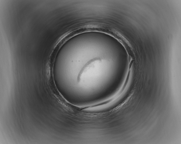 X0000116320829200912091017