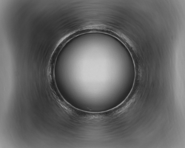 X0000116320830200912091017