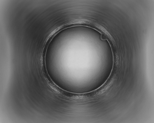 X0000116320834200912091017