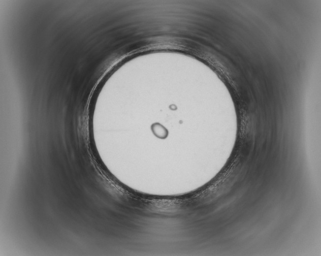 X0000116320836200912091017