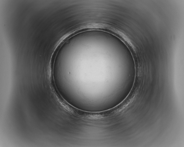 X0000116320837200912091017