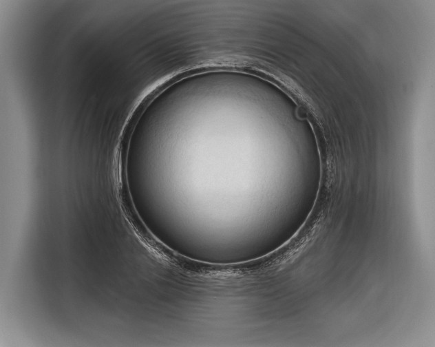 X0000116320838200912091017