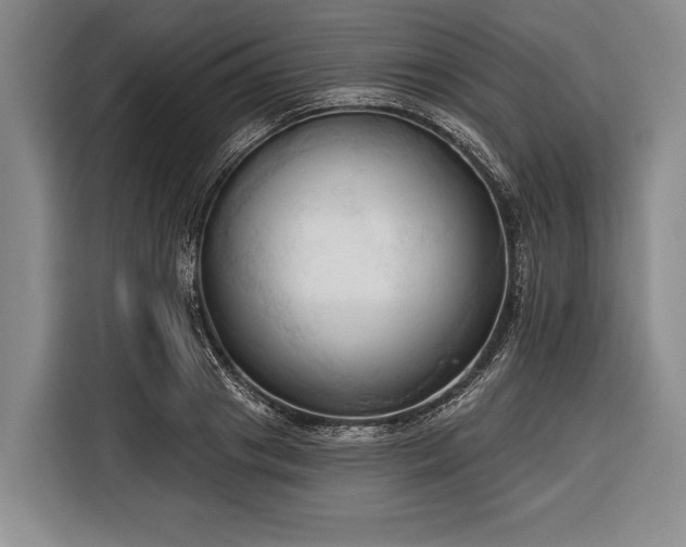 X0000116320841200912091017