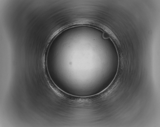 X0000116320842200912091017