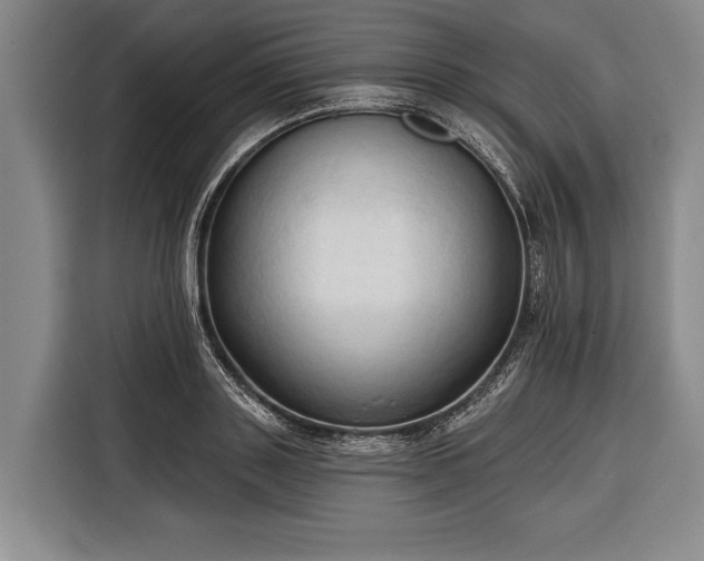 X0000116320843200912091017