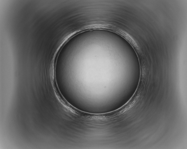 X0000116320844200912091017