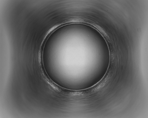 X0000116320846200912091018