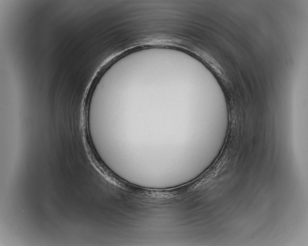 X0000116320848200912091018