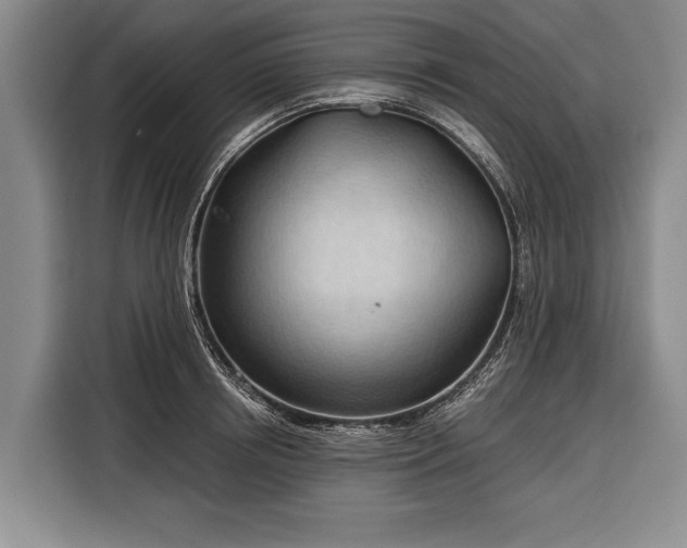 X0000116320850200912091018