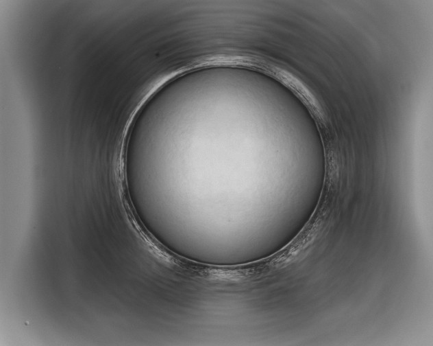 X0000116320852200912091018