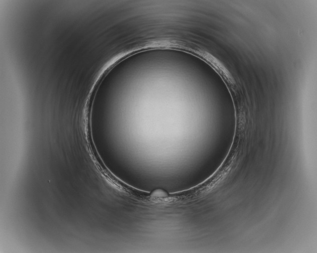 X0000116320854200912091018