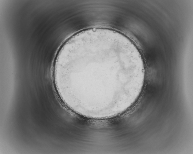 X0000116320856200912091018