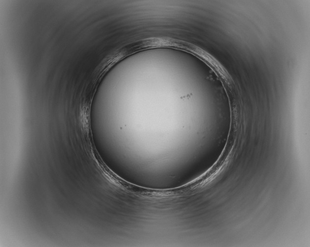 X0000116320857200912091018