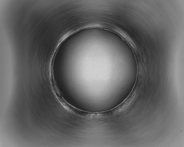 X0000116320858200912091018