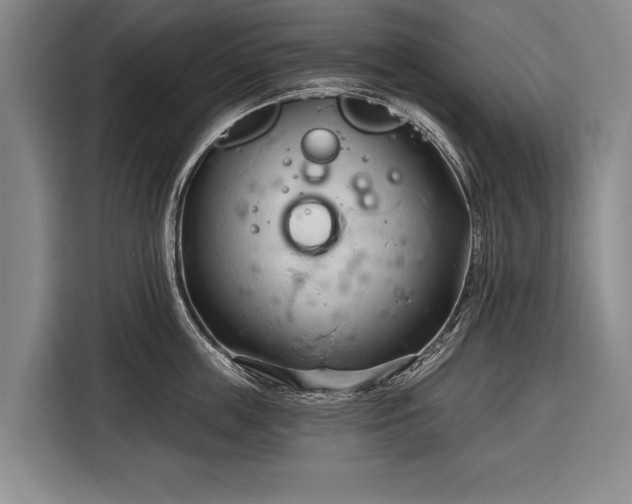 X0000116320859200912091018