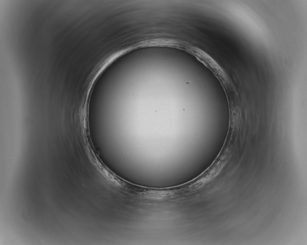 X0000116320860200912091018