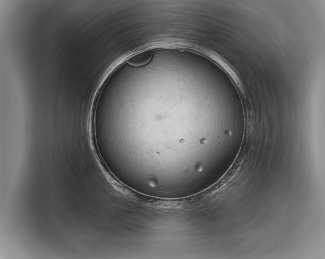 X0000116320861200912091018