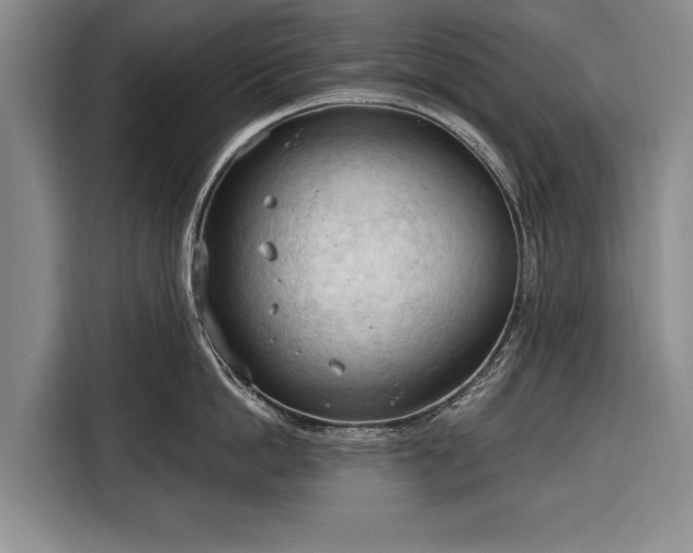 X0000116320862200912091018