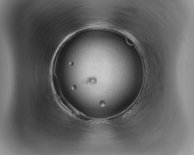 X0000116320864200912091018