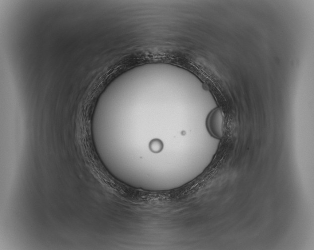 X0000116320865200912091017