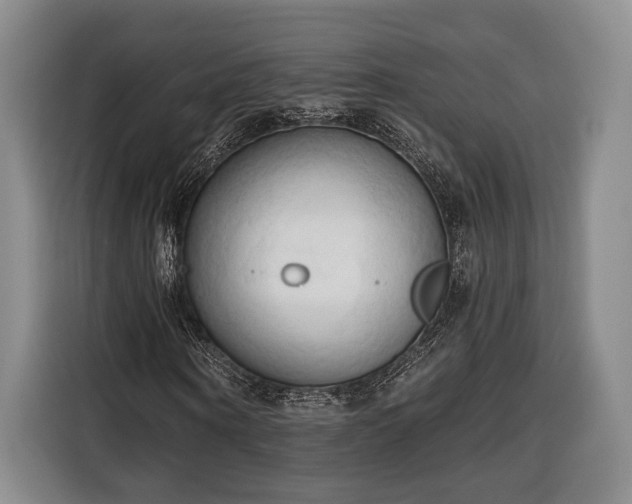 X0000116320866200912091017