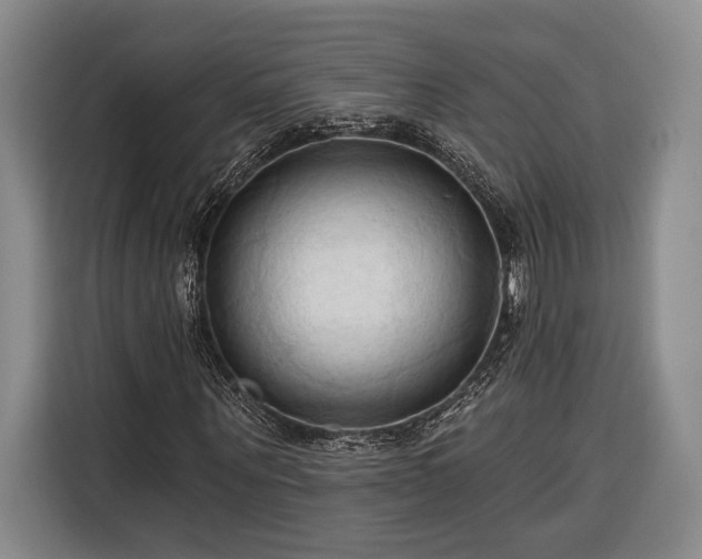 X0000116320867200912091017