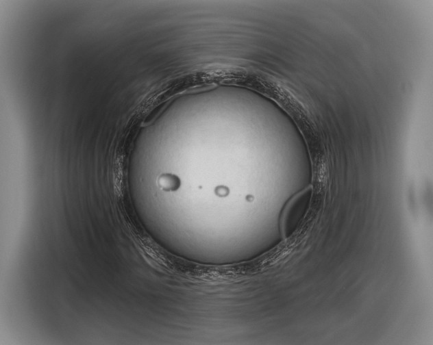 X0000116320868200912091017