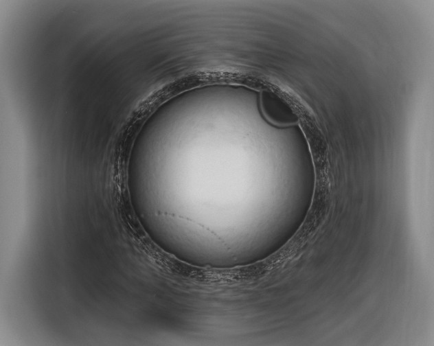 X0000116320870200912091017