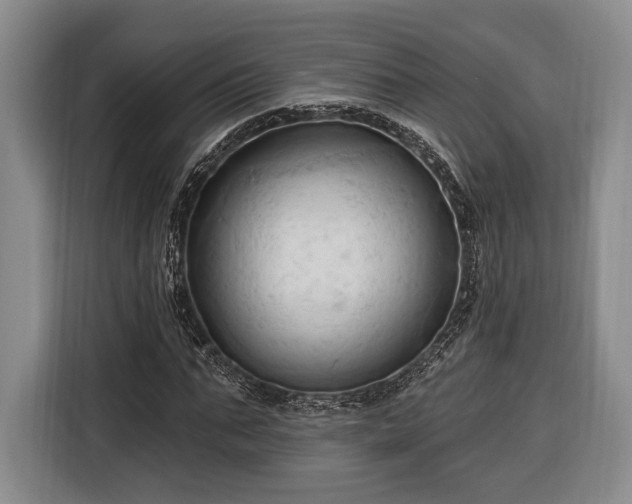 X0000116320871200912091017