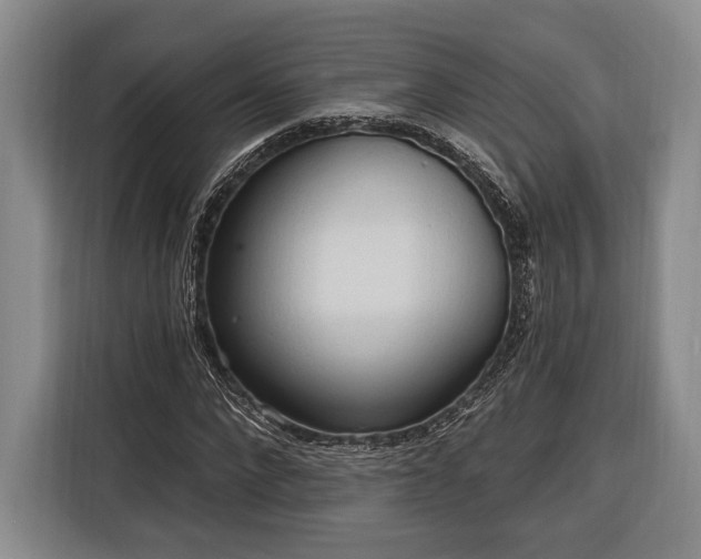 X0000116320872200912091017