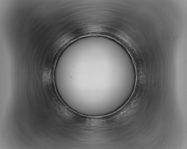 X0000116320873200912091017