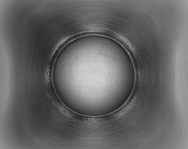 X0000116320875200912091017