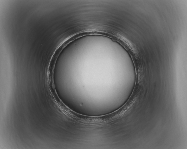 X0000116320876200912091017